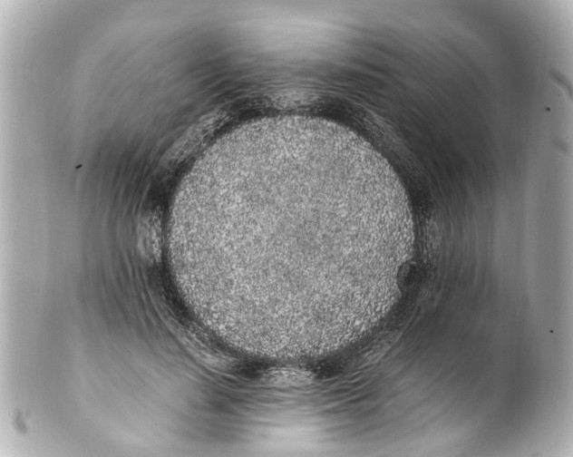 X0000101680644200807311520