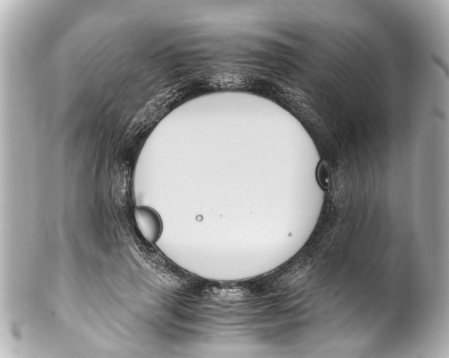 X0000101680645200807311520