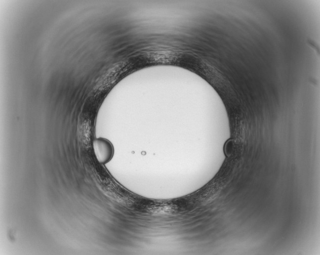 X0000101680646200807311520