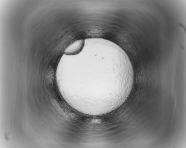 X0000101680647200807311520