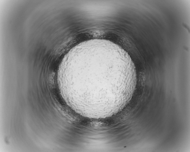 X0000101680650200807311520