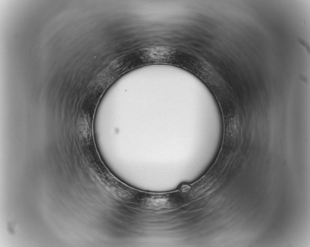 X0000101680651200807311520