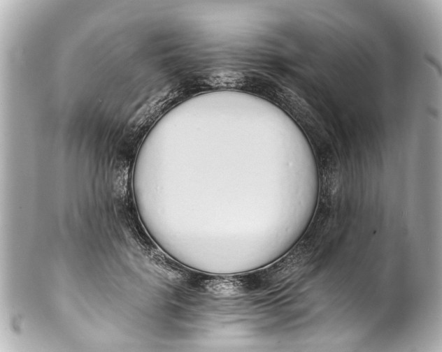 X0000101680652200807311520