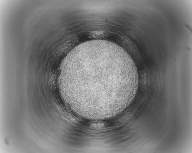 X0000101680653200807311520