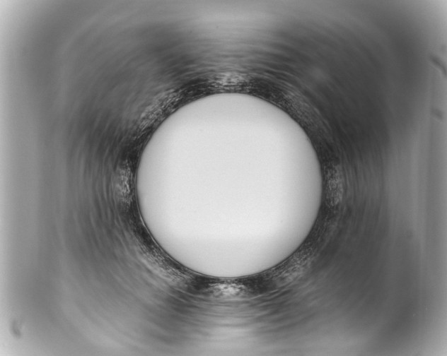 X0000101680654200807311520