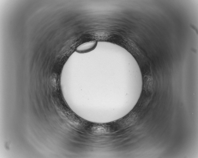 X0000101680655200807311520