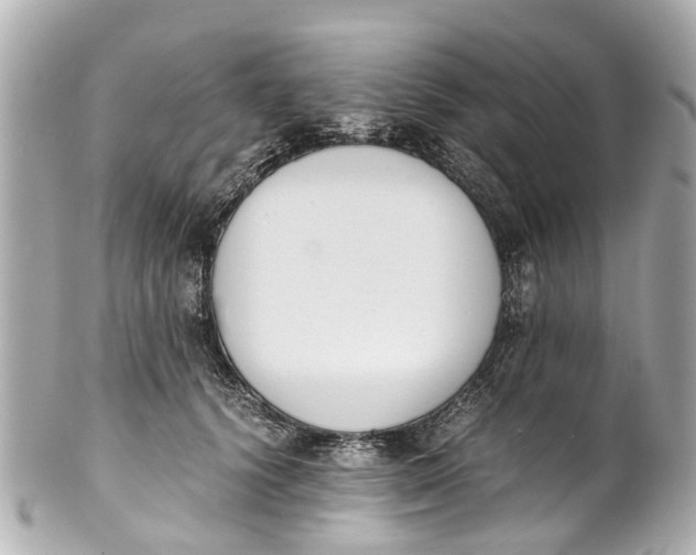 X0000101680656200807311520