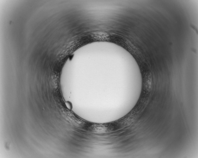 X0000101680658200807311520