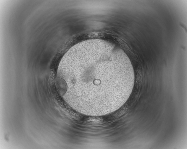 X0000101680659200807311520