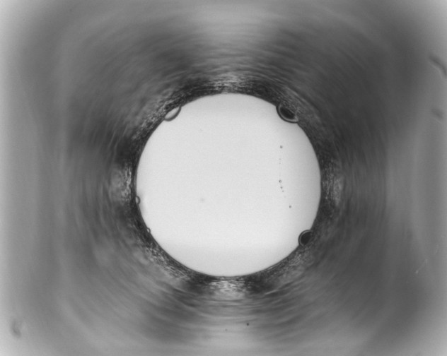 X0000101680660200807311520