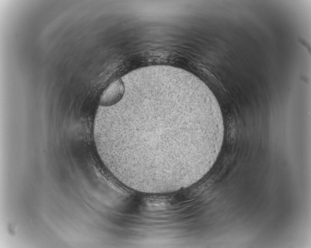 X0000101680661200807311520