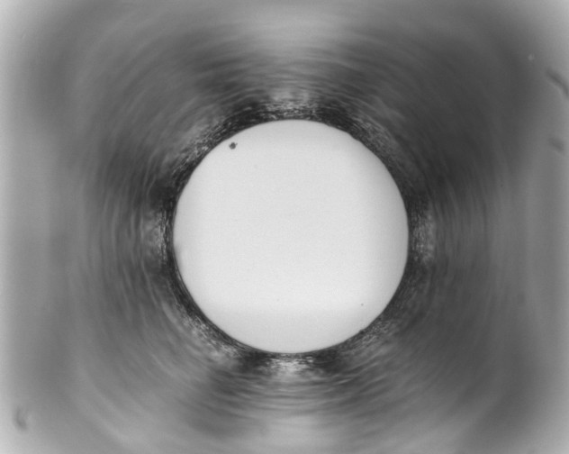 X0000101680662200807311520