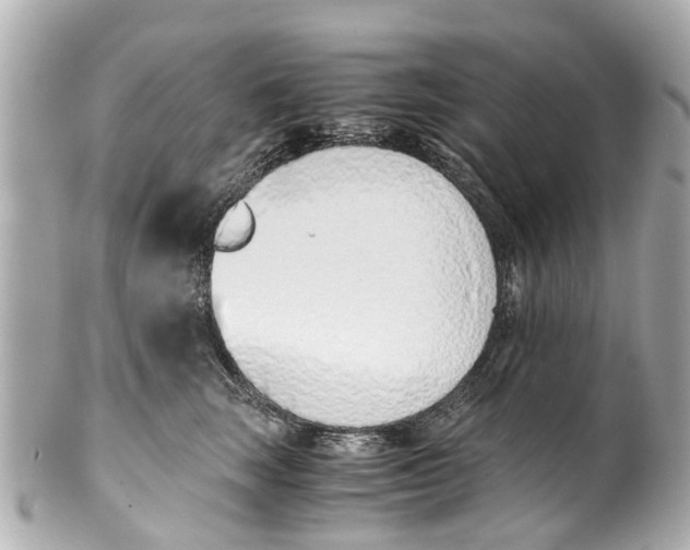 X0000101680663200807311520