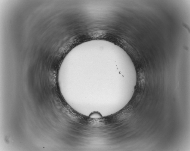 X0000101680664200807311520