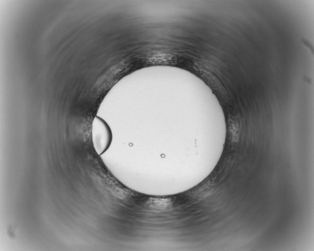 X0000101680665200807311520