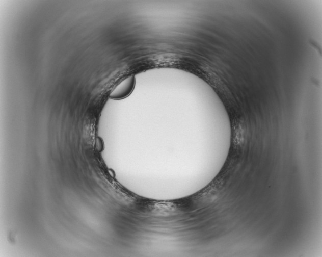 X0000101680666200807311520