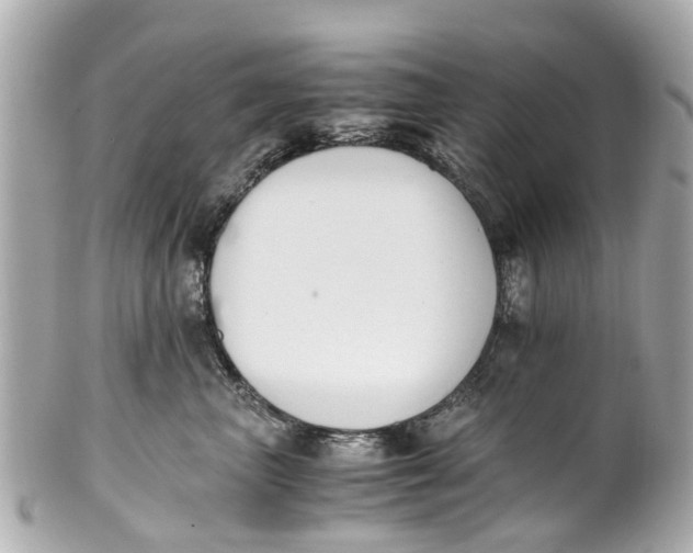 X0000101680667200807311520