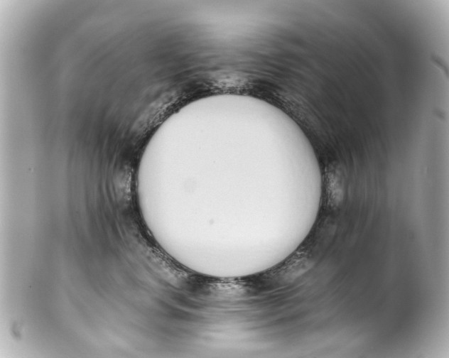 X0000101680668200807311520