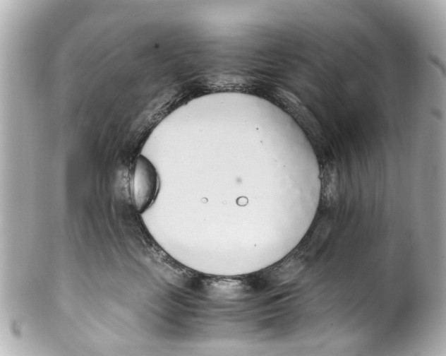 X0000101680669200807311520