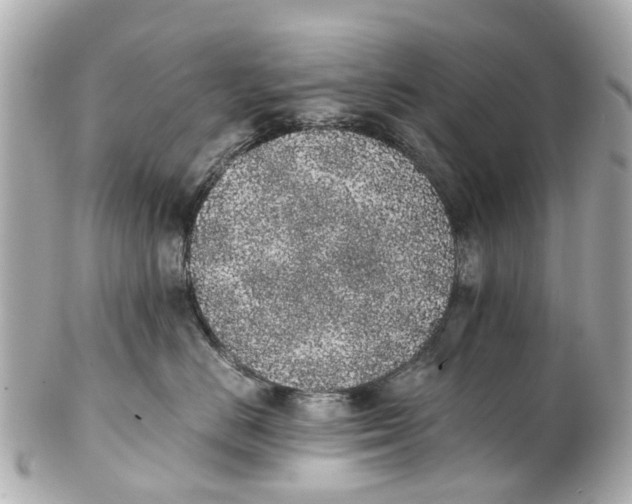 X0000101680670200807311520