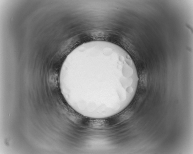 X0000101680671200807311520