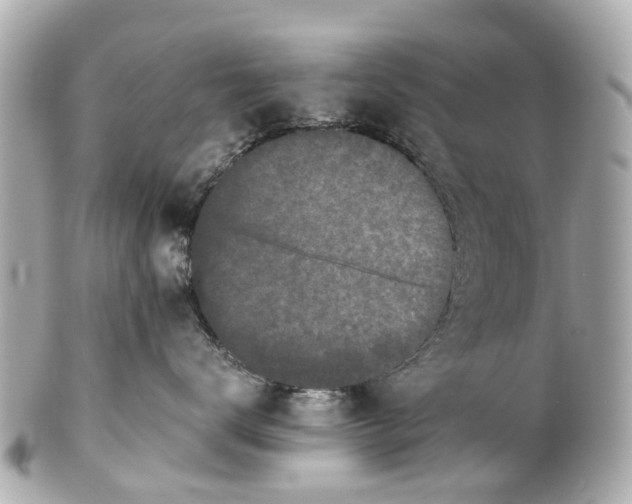 X0000101680672200807311520