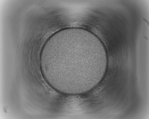 X0000101680673200807311520