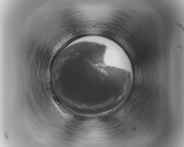 X0000101680674200807311520