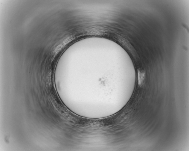 X0000101680675200807311520