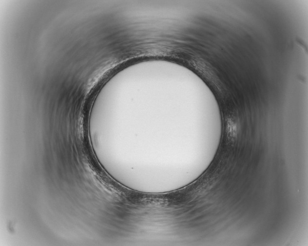 X0000101680676200807311520