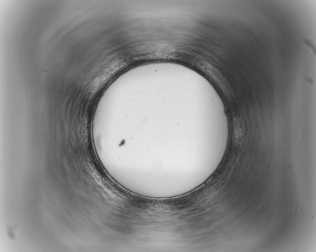 X0000101680677200807311520