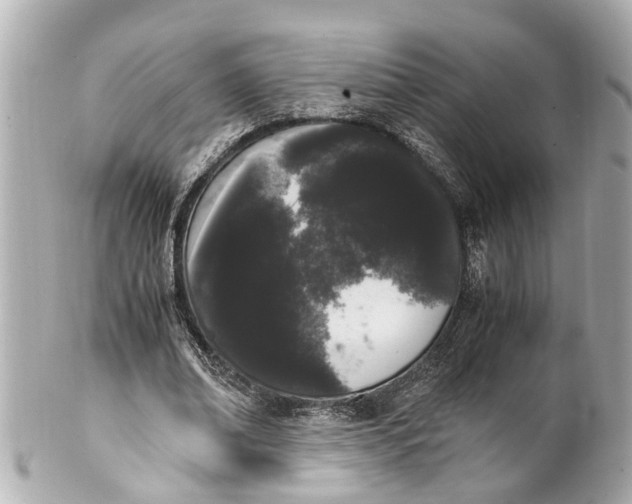 X0000101680678200807311520