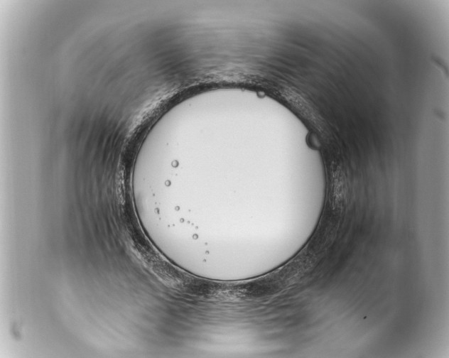 X0000101680680200807311520