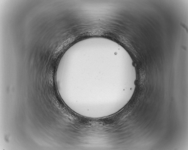 X0000101680681200807311520