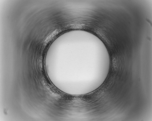 X0000101680682200807311519