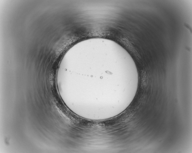 X0000101680683200807311519