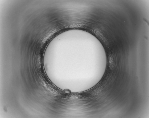 X0000101680684200807311519