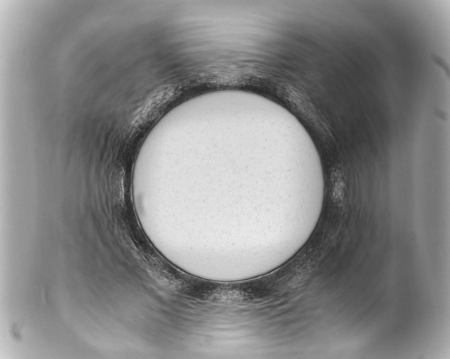 X0000101680685200807311519