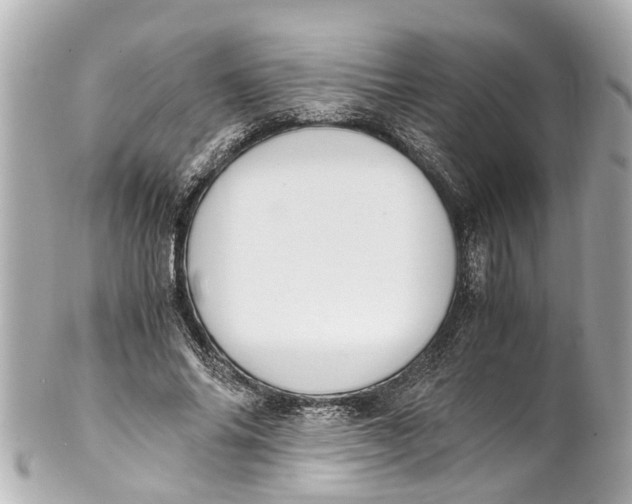 X0000101680686200807311519