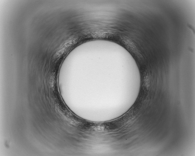 X0000101680687200807311519