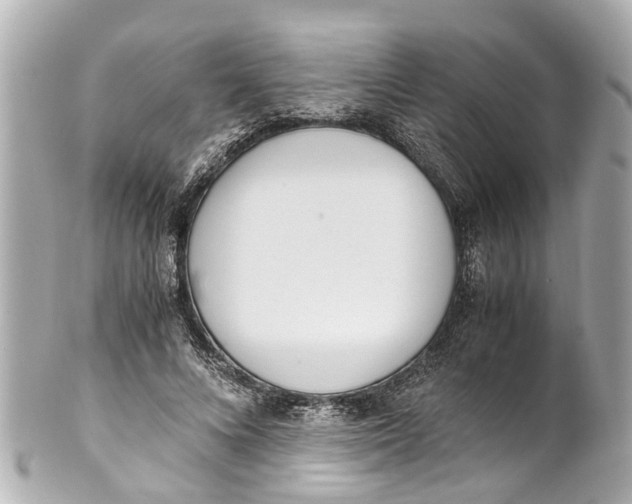 X0000101680688200807311519