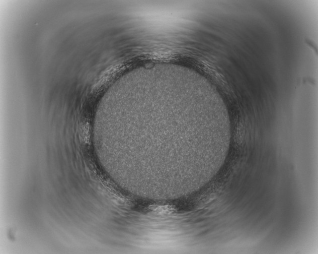 X0000101680689200807311519