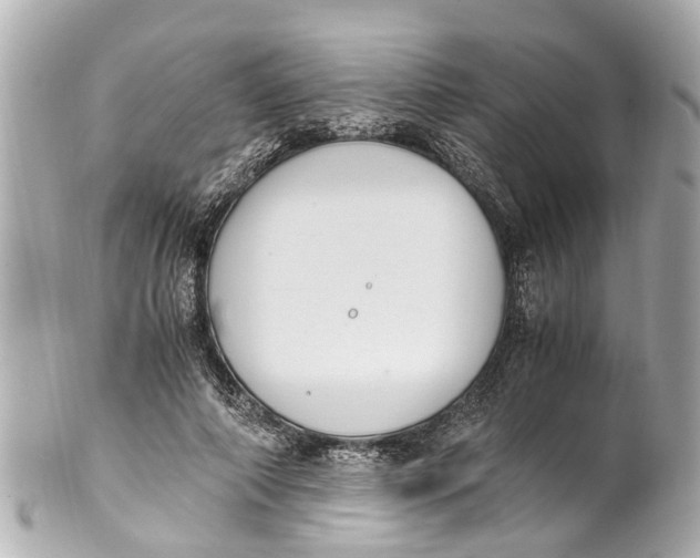 X0000101680690200807311519