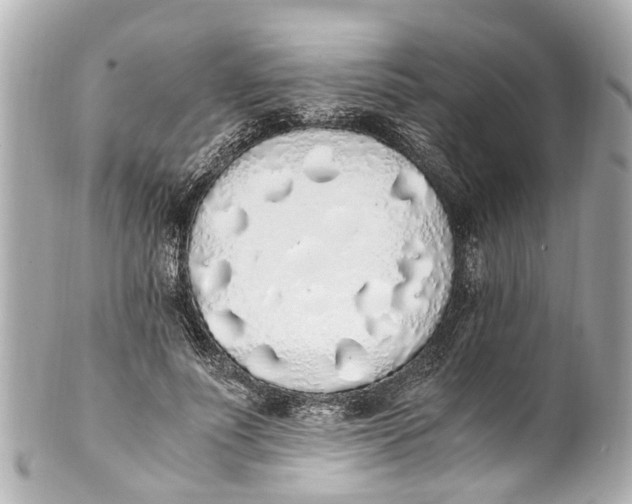 X0000101680691200807311519