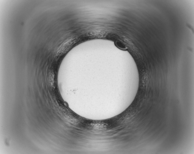 X0000101680693200807311519