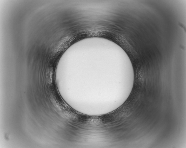 X0000101680694200807311519