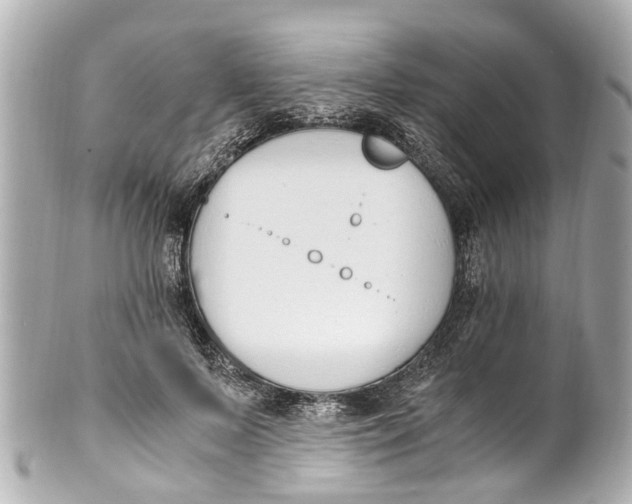 X0000101680695200807311519