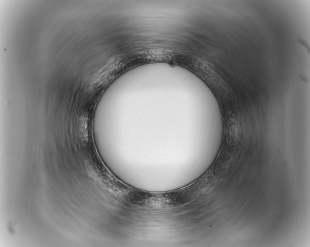 X0000101680696200807311519