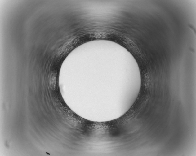 X0000101680697200807311519