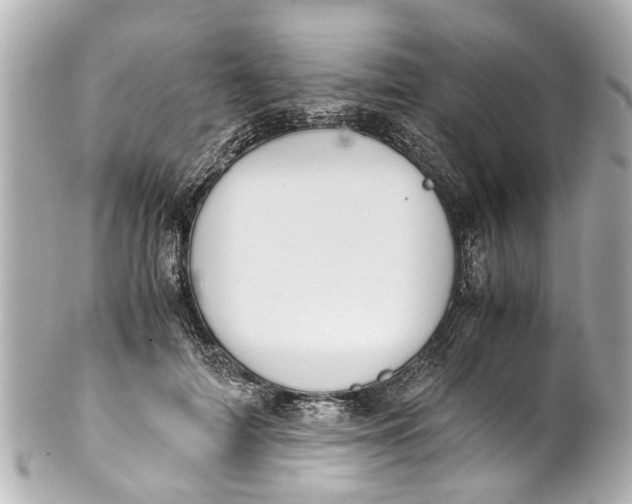 X0000101680698200807311519